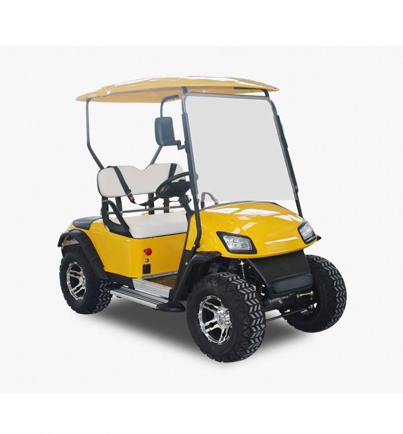 Electric with Club Seat Powered Lithium Carts for Push Ball 3 Wheel Bag Wheels Canopy Cover Deep Cycle Batteries 8 Golf Cart