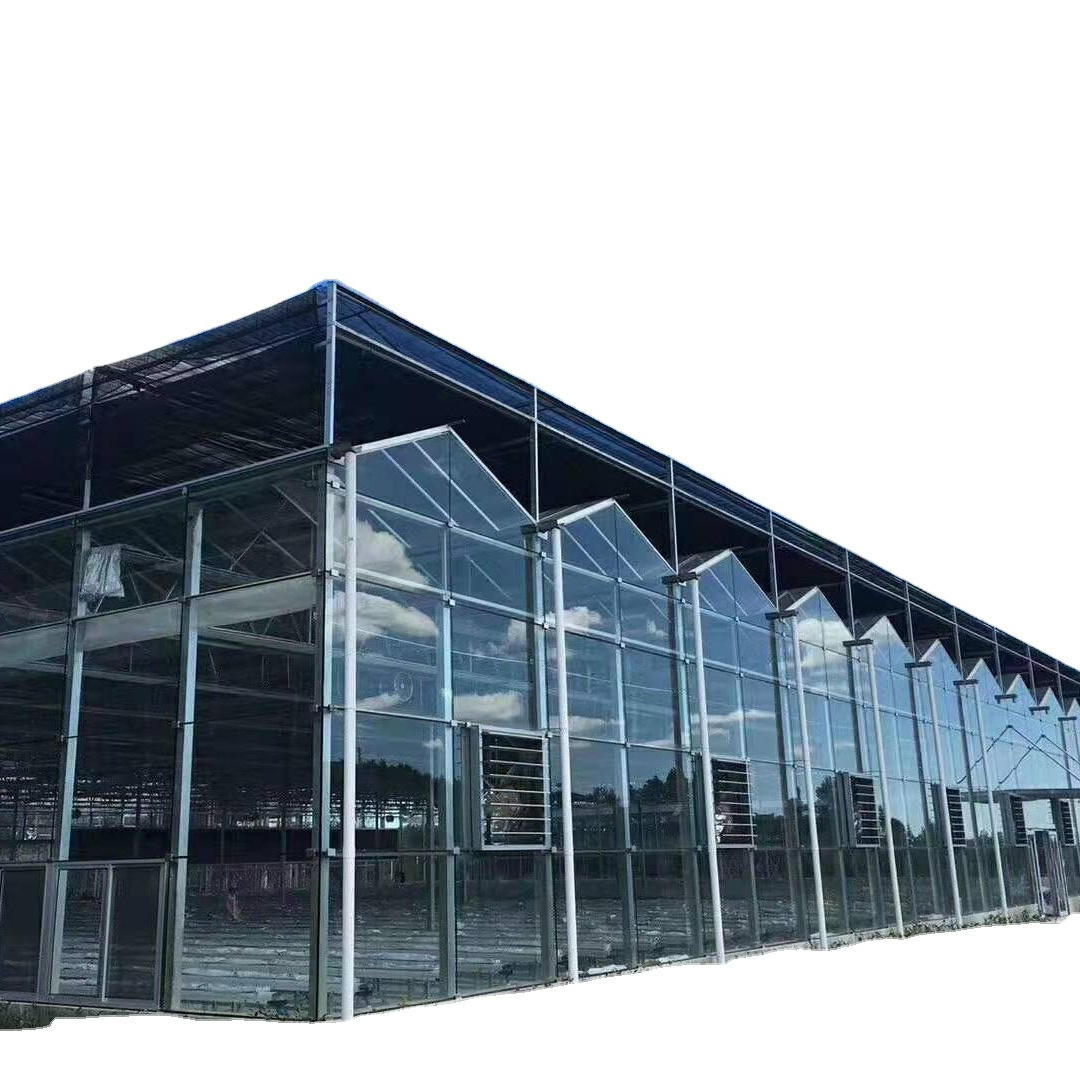 Modern Economic Durable Outdoor Glass Greenhouse Pergola for Planting