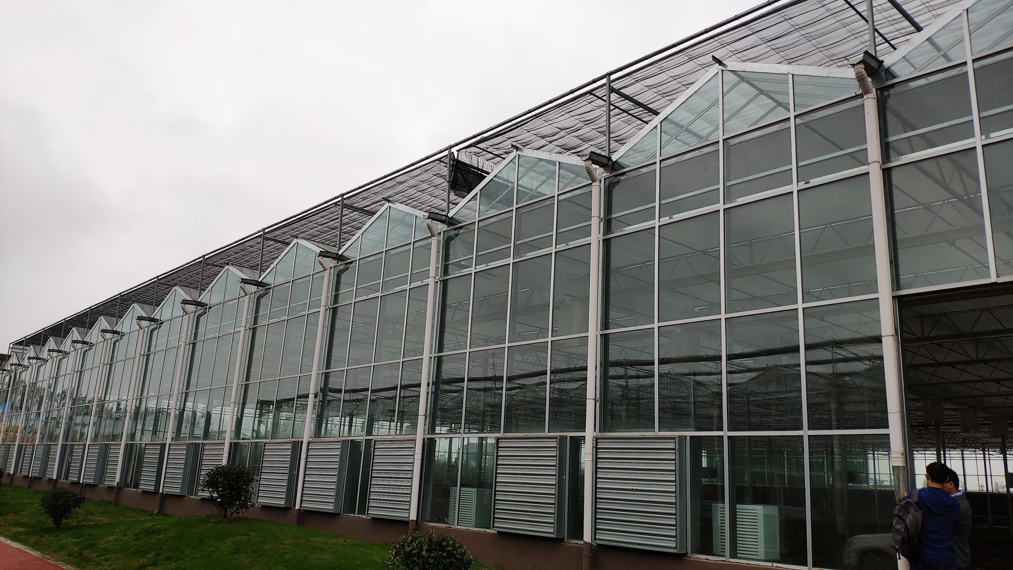 Modern Economic Durable Outdoor Glass Greenhouse Pergola for Planting