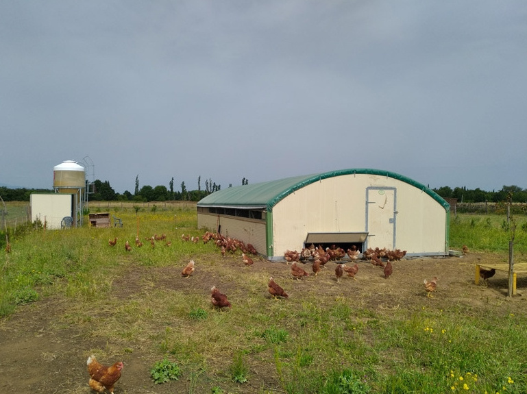 High quality steel frame horse tent shelter sheep animal shelter cattle shed livestock shelter