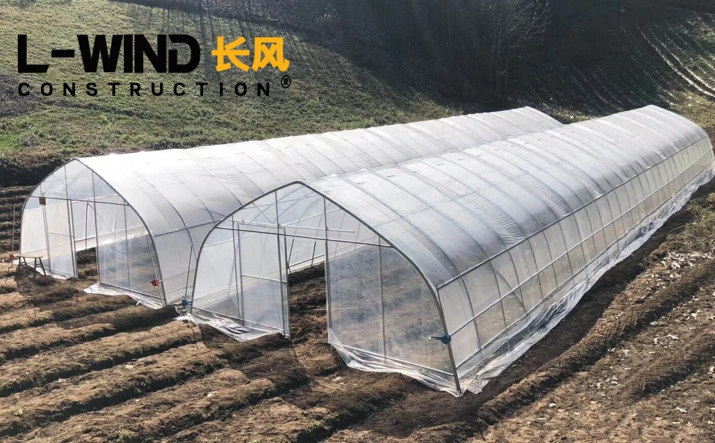 Agricultural Vegetable Planting Single Span Plastic Film Tunnel Arch Green House kit Greenhouse