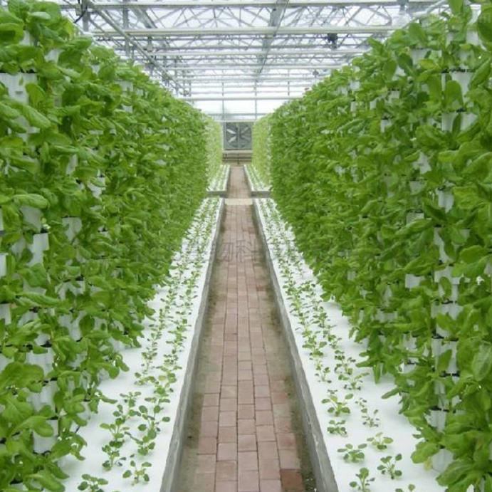 Greenhouse Indoor Plant Vertical Hydroponia Tower Growing Systems Column Hydroponic Aeroponic Planting Systems