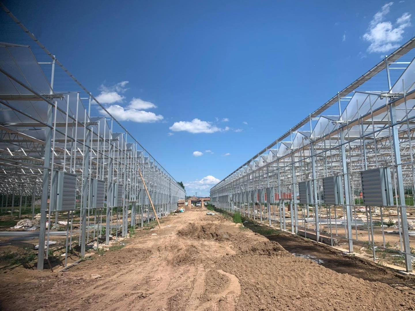 Best Commercial Agriculture Glass Greenhouse Manufacturer  For Sale Australia