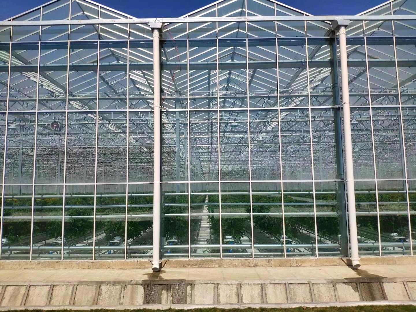 Best Commercial Agriculture Glass Greenhouse Manufacturer  For Sale Australia