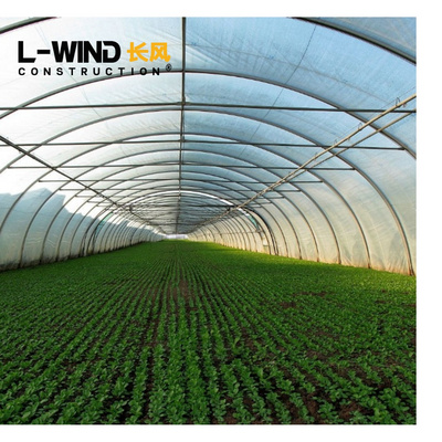 Agriculture Greenhouse Vegetables Farming Equipment Film Plastic Agriculture Green House