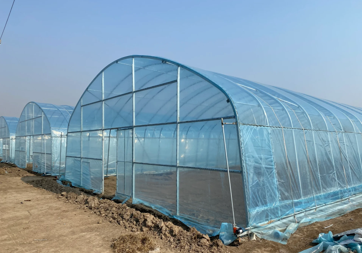 Agriculture Greenhouse Vegetables Farming Equipment Film Plastic Agriculture Green House