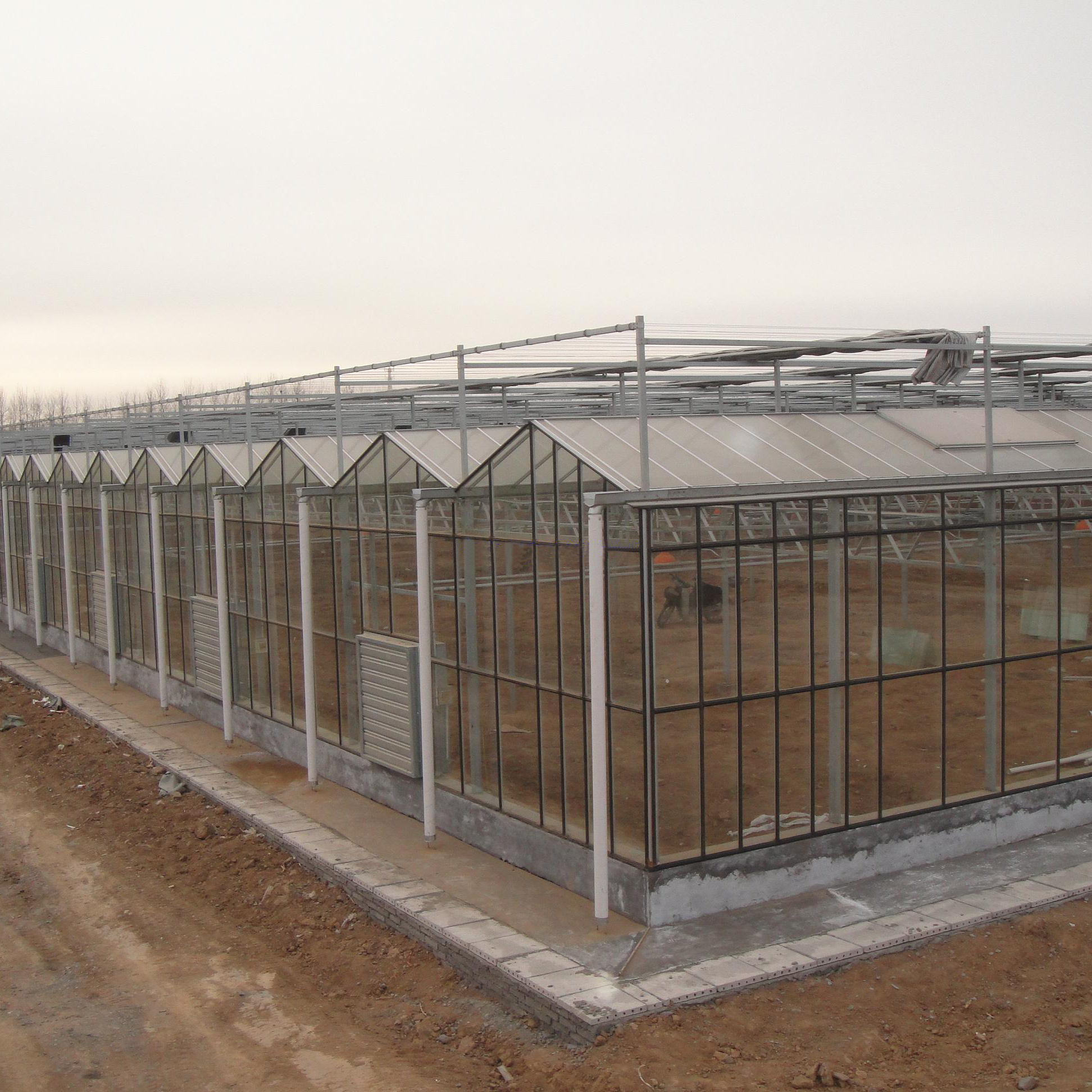 Best Commercial Agriculture Glass Greenhouse Manufacturer  For Sale Australia