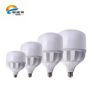 Color Light Park Lamp Bulbs 18W E27 12 Watt 12W 10W 12V Dc B22 E22 9 A60 15 E24 5V 24V Row Material T-Shaped A Led Bulb