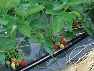 Plastic Material and Professional Manufacturer agriculture micro drip irrigation system Product name irrigation system drip