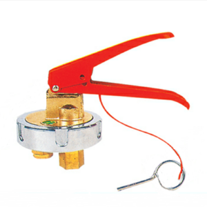 Internal Fire Extinguisher Valve Firefighting Equipment & Accessories