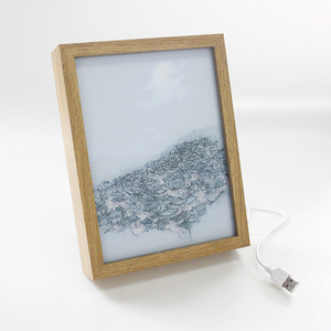 Plugged In LED Light Adjustable Wood Picture Frame Shadow Box