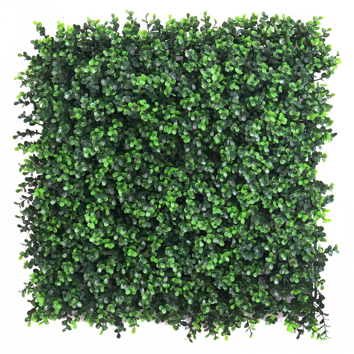 50*50cm UV Plastic High Quality Artificial Hedge Boxwood Panels Green Plant Vertical Garden Wall For Indoor Outdoor Decoration