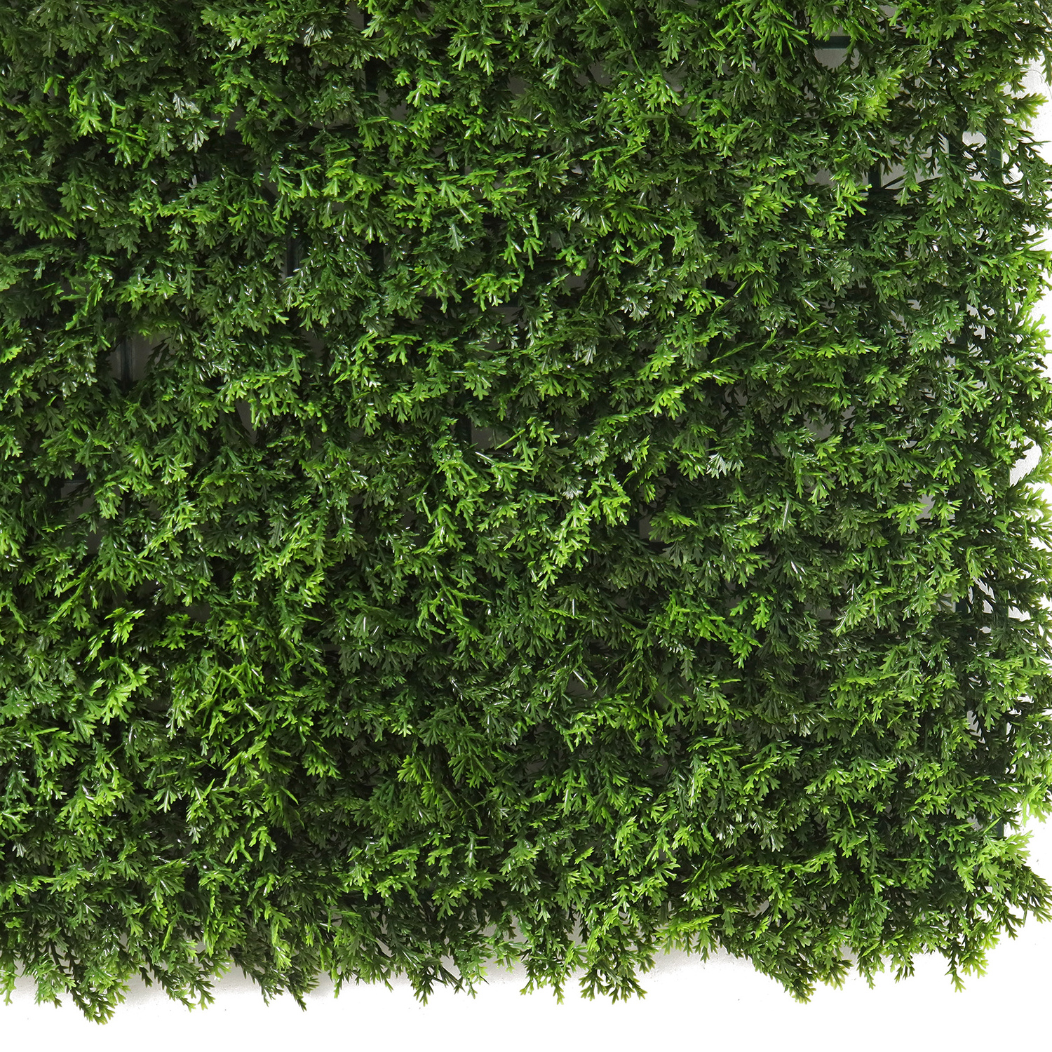 50*50cm UV Protect Vertical Garden Privacy Boxwood Hedge Green Foliage Artificial Plants Panel Faux Grass Wall