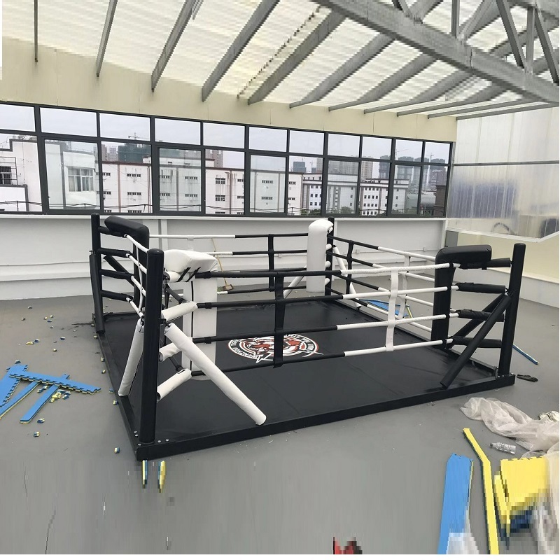 Factory price professional small boxing ring wrestling ring