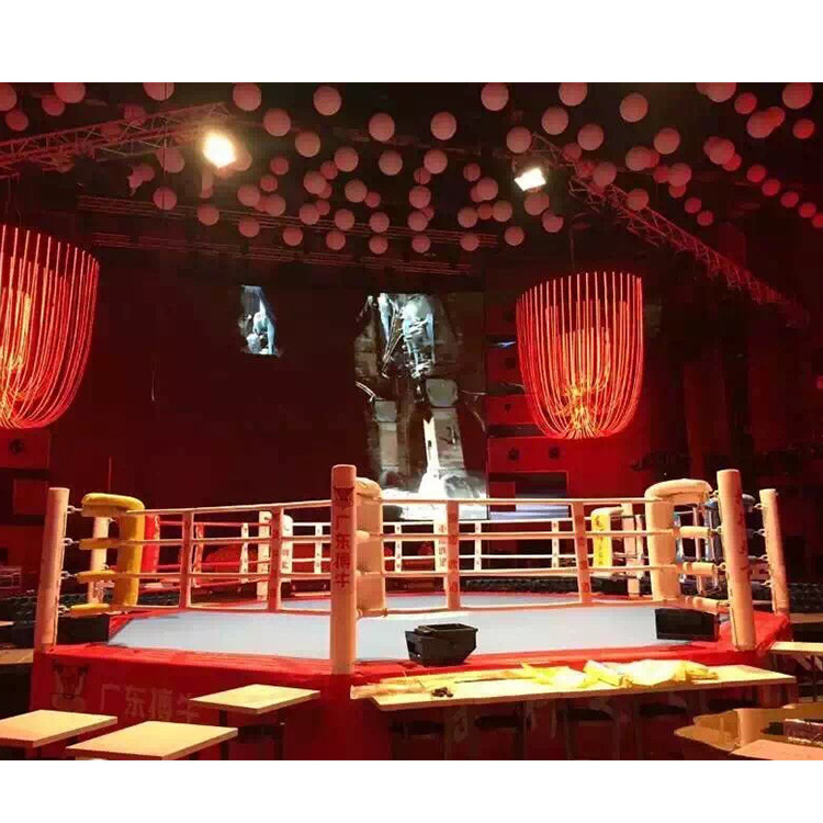 Hot Sale raised boxing ring pro portable