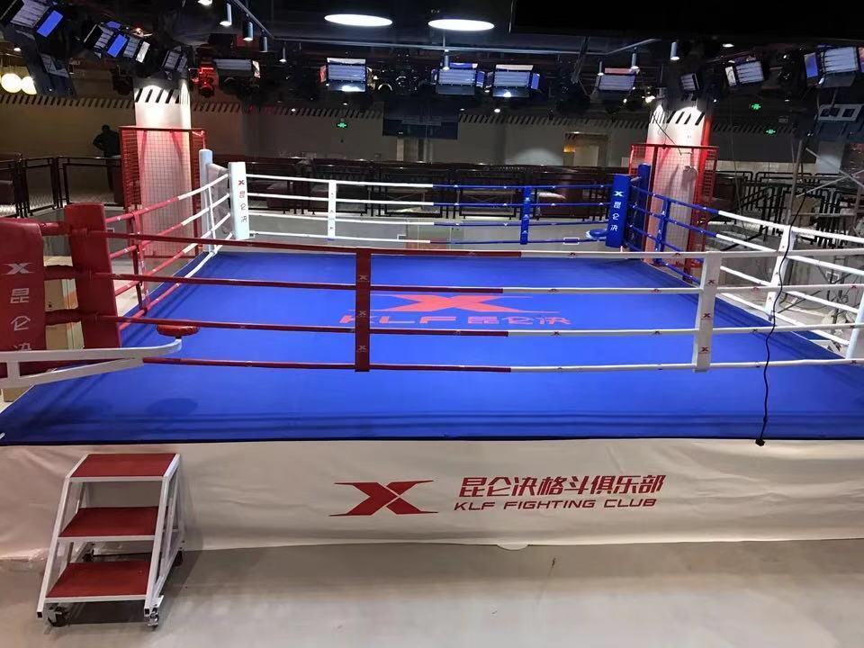 Factory price professional small boxing ring wrestling ring