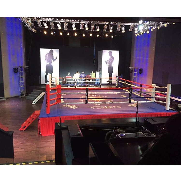 Hot Sale raised boxing ring pro portable