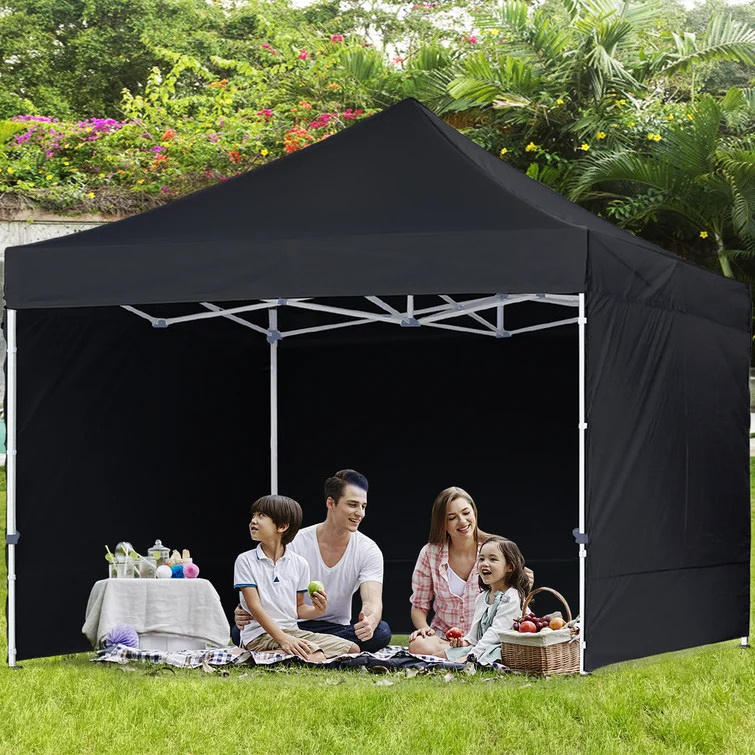 Akuan 10x10 Pop Up Canopy Commercial Instant Shelter Canopies with Removable Sidewalls