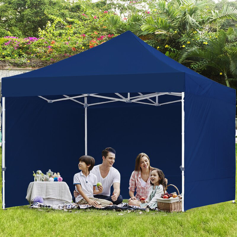 Akuan 10x10 Pop Up Canopy Commercial Instant Shelter Canopies with Removable Sidewalls