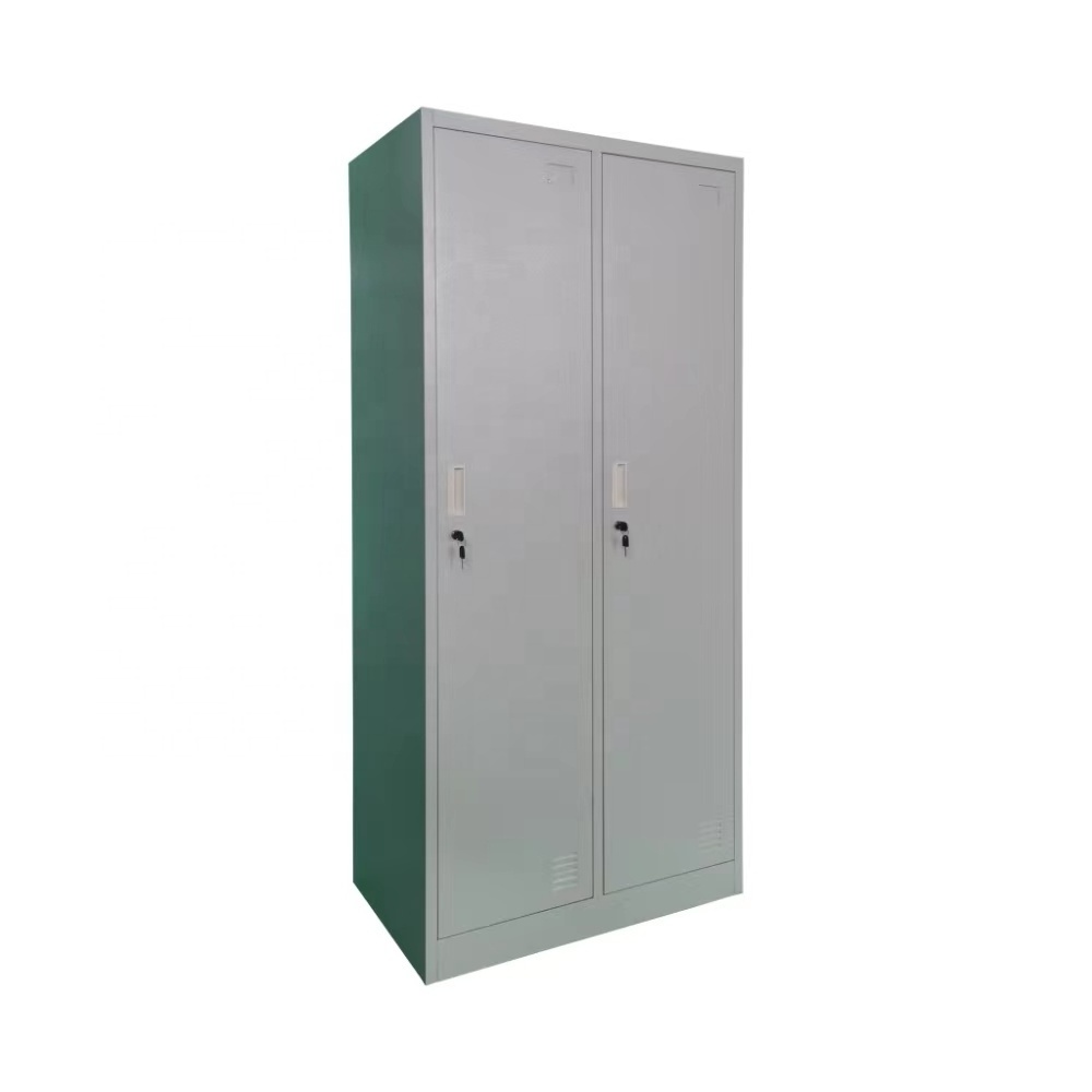 Hot sale 2 Door Steel Locker Metal Gym Storage Locker for Changing Room Luggage Lockers Steel Wardrobe Price