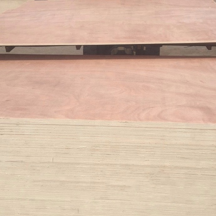 Birch Bintangor Okoume Poplar malaysian_plywood 4x8 plywood