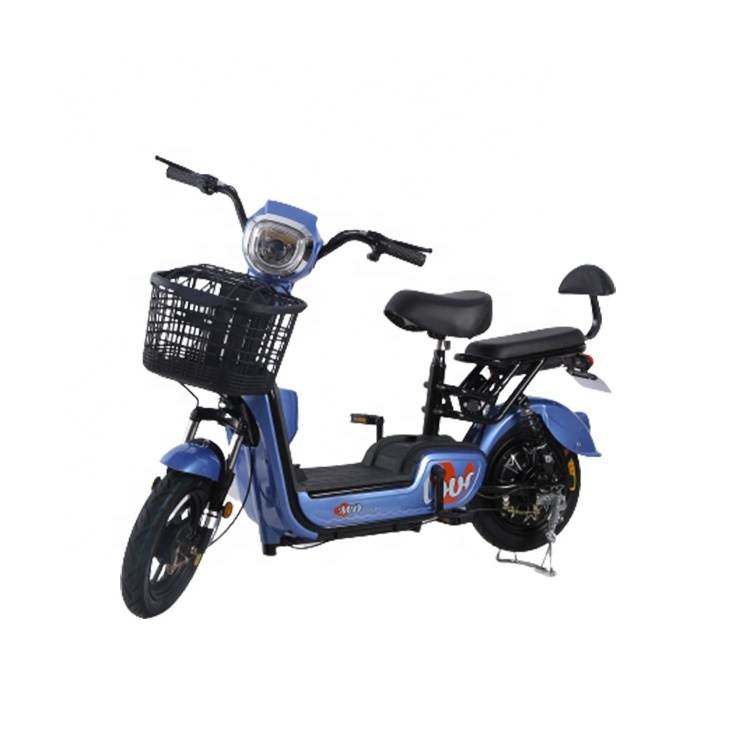 Adult electric bike 2 wheels ebike electric bicycle 48v electric pedal moped