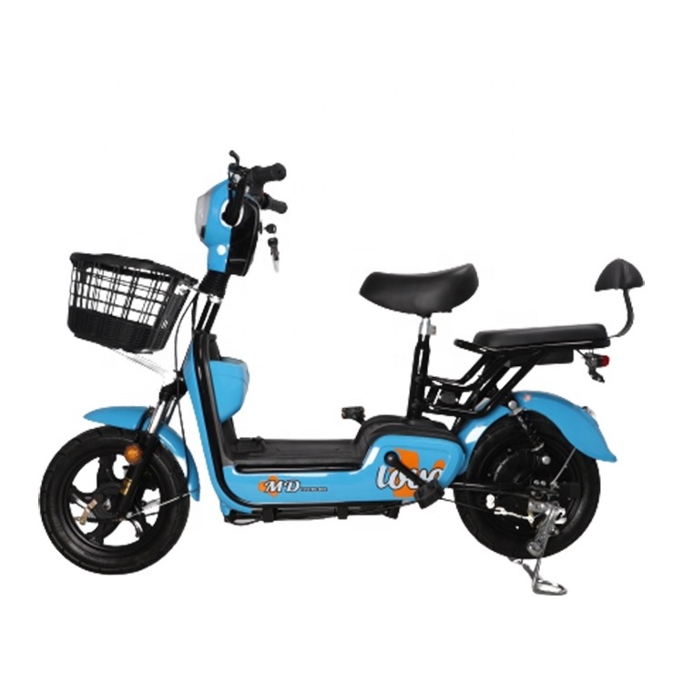 Adult electric bike 2 wheels ebike electric bicycle 48v electric pedal moped