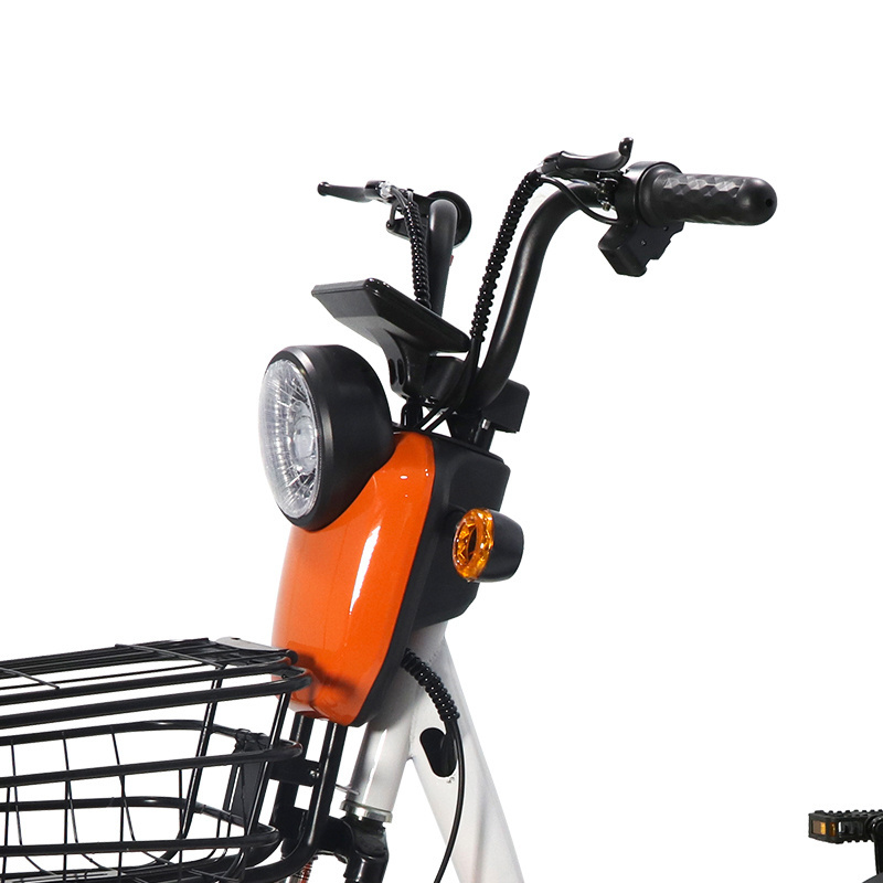 Cheap Light Factory Direct Supply Bicicleta Electrica Electric Bicycle For 2 Adults