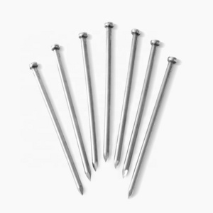 Free Samples Factory Common Iron Nails For All Kinds Of Industry And Construction Polished Nails