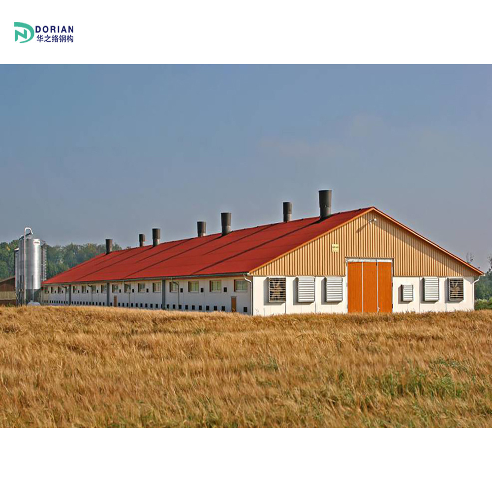 portable factory shed design chicken house with partition