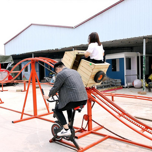 family entertainment attraction cheap roller coaster kids small  roller coaster for sale