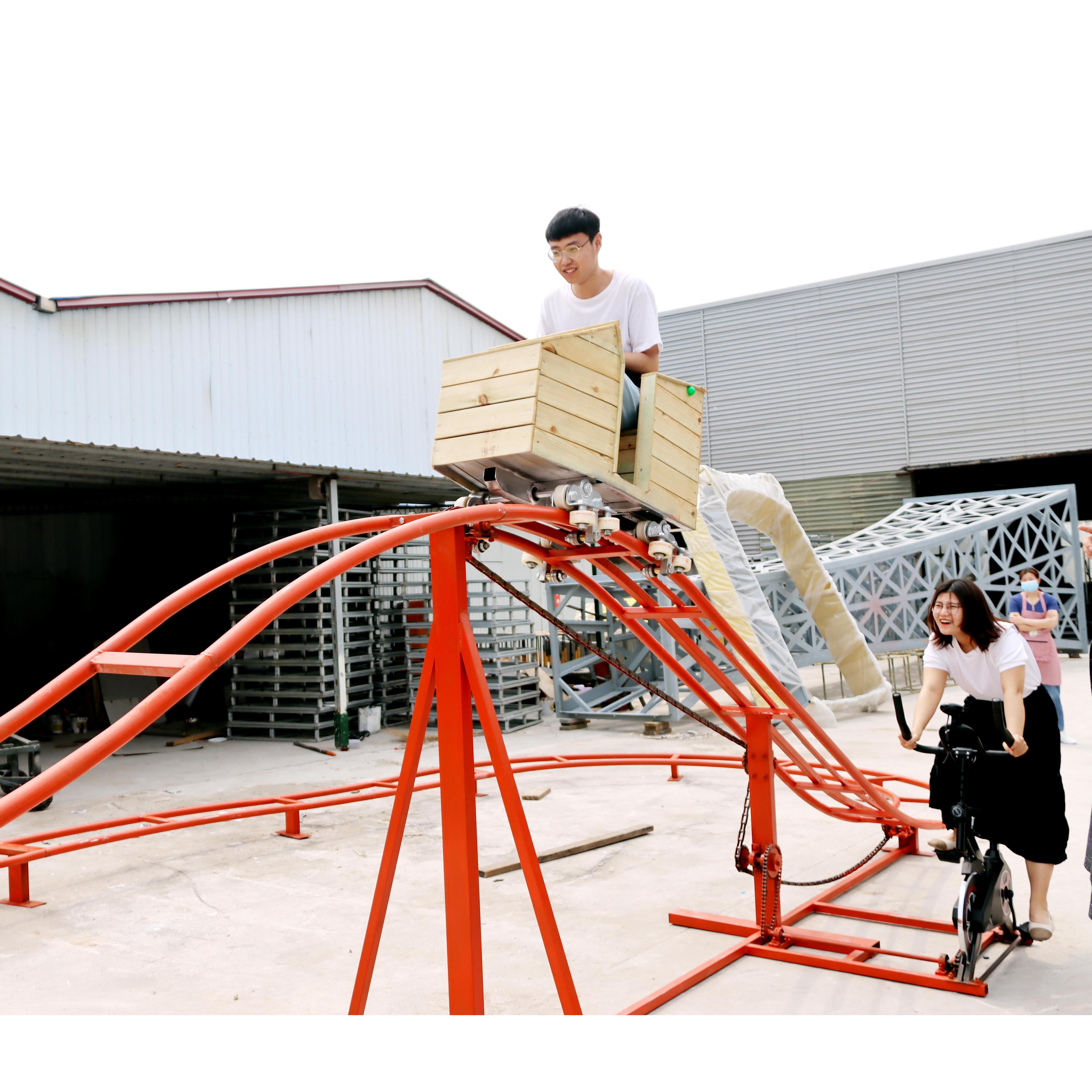 family entertainment attraction cheap roller coaster kids small  roller coaster for sale