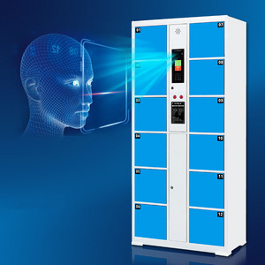 12 doors smart digital steel locker Staff smart locker system packages face recognition electrical cabinet for  residential area