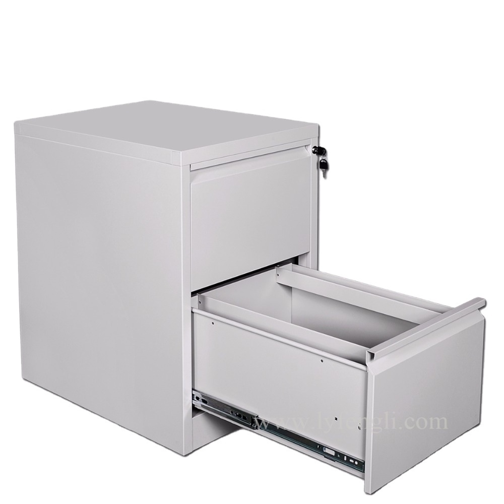 Office Storage Steel Cabinet Manufacturer 2 Drawer Organizer Steel Storage Drawer File Cabinet Locker