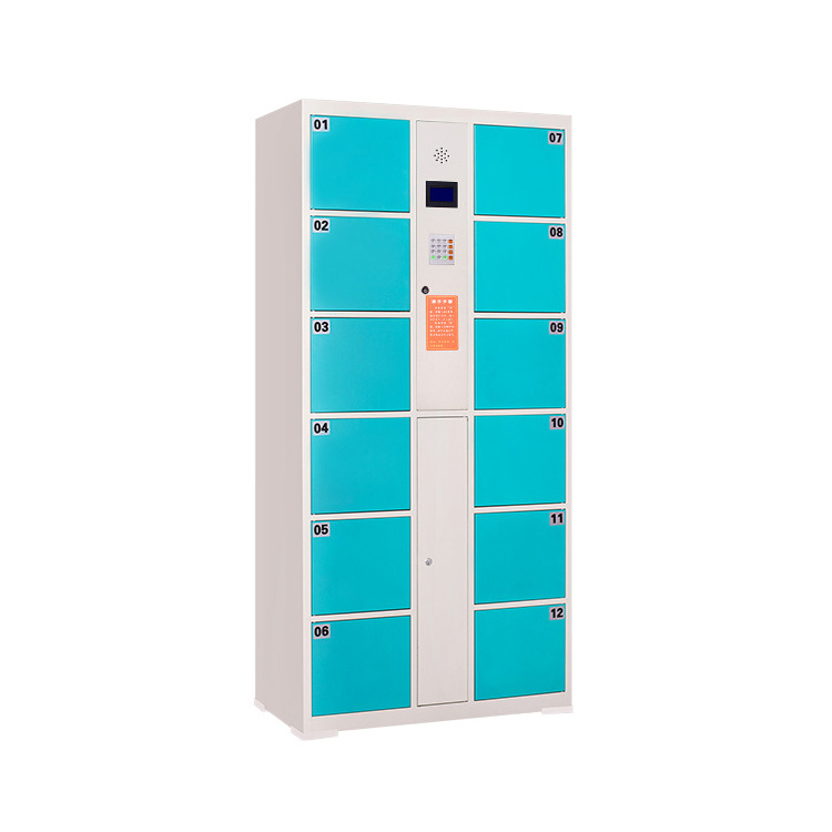 Fingerprint Delivery Intelligent Gym Outdoor Parcel Locker System Digital Electronic Steel Smart Metal Storage Lockers