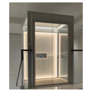 CE Certificate Good Quality Home Lift Small Home Elevator 2 Person/Home Lift For Disabled People