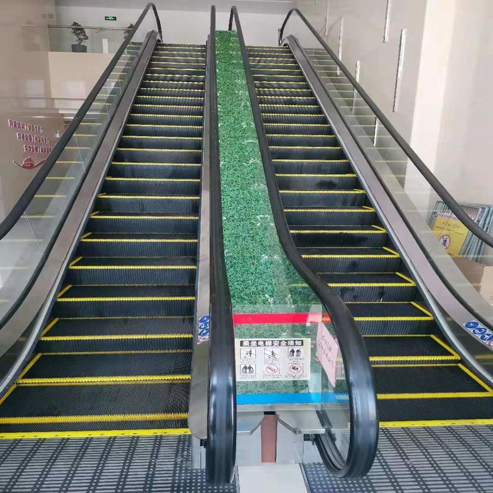 Waterproof Outdoor High Quality Fuji Escalator 1000mm Escalator Mini 800mm Escalator Lift In Shopping Mall