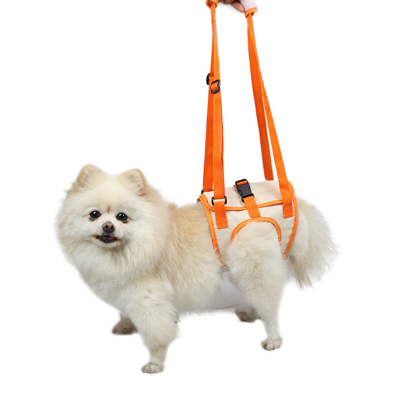 Wholesale Customized Dog Lift Harness - Adjustable Sling Support for Large Dogs Hind Legs, Mobility Aid for Elderly Dogs