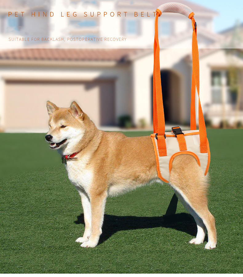 Wholesale Customized Dog Lift Harness - Adjustable Sling Support for Large Dogs Hind Legs, Mobility Aid for Elderly Dogs