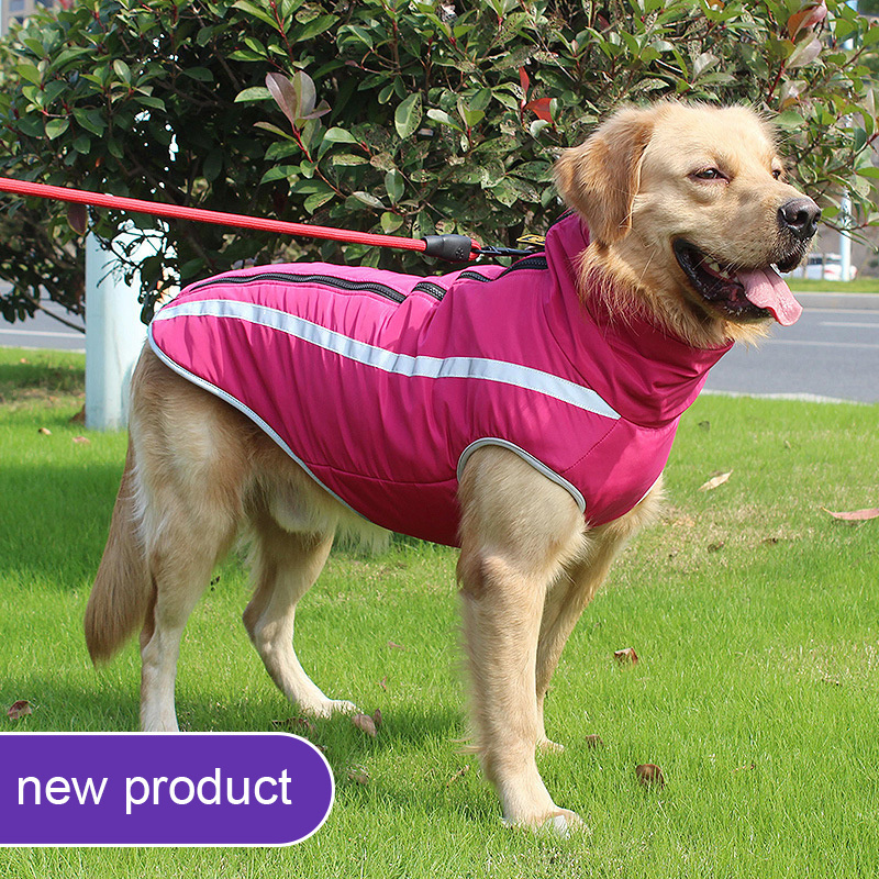 Wholesale new autumn and winter pet dog clothes thickened dog cotton-padded coat outdoor big dog jacket pet supplies