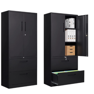 Metal File Cabinet with 2 Drawer Lockable Vertical Lateral Filing Storage Cabinet File Cabinet Office Furniture Contemporary