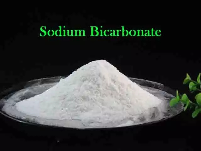 Cas No.144-55-8 Industrial Grade 99% Manufacturer Baking Soda Nahco3 Sodium Bicarbonate