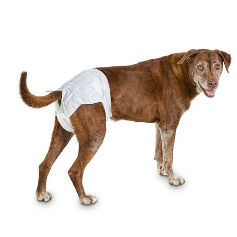 High Quality Disposable Doggie Diapers For Female Dogs Diaper