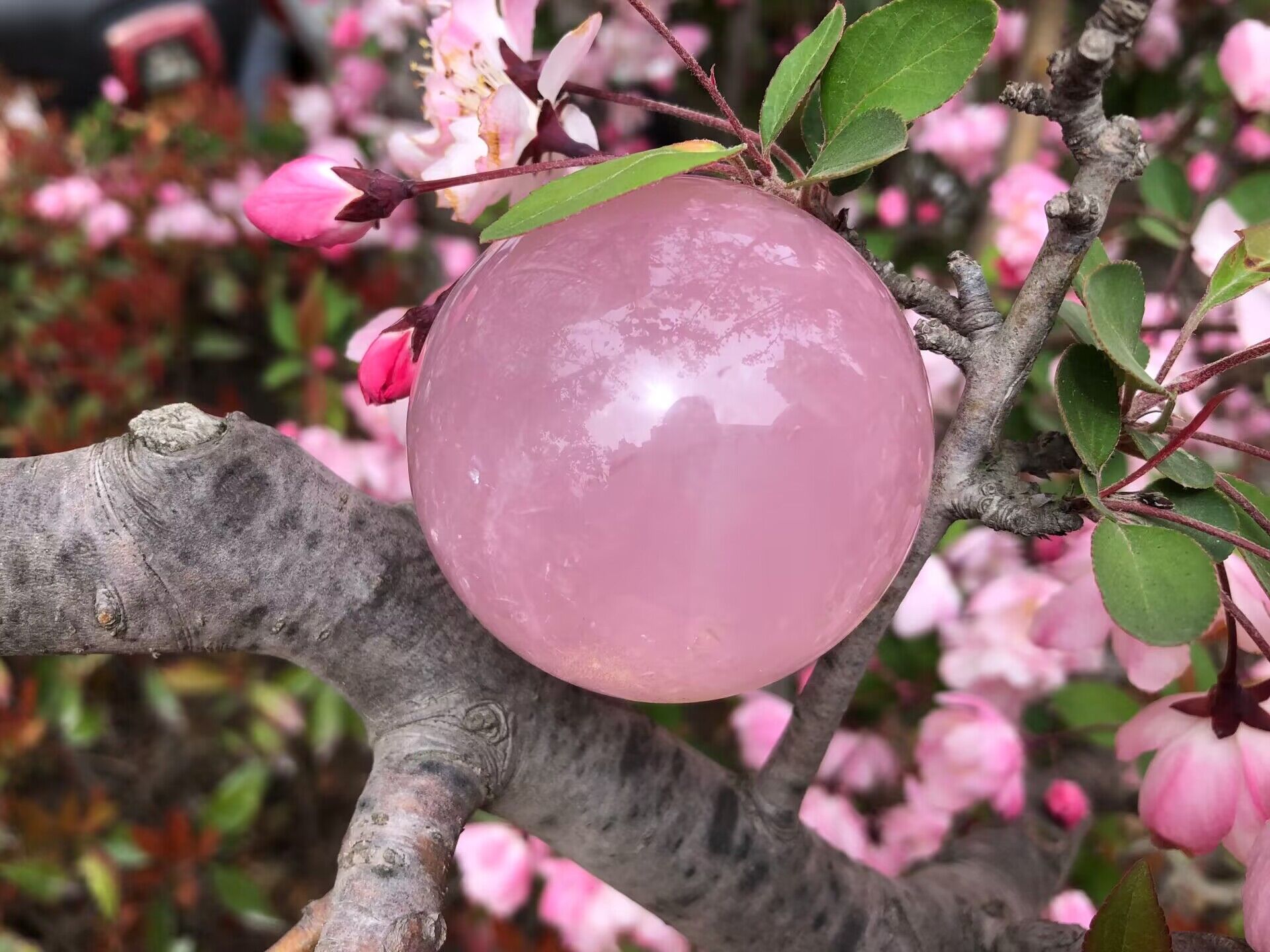 Pink Calcite Crystal Sphere Gemstone Ball Jasper Egg Crystal Crafts Gemstone Sphere Gifts Souvenirs Spiritual Products