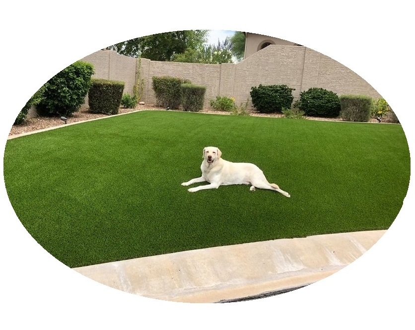 Lvyin 30mm Cheap non-toxic artificial grass pet friendly grass natural color grass