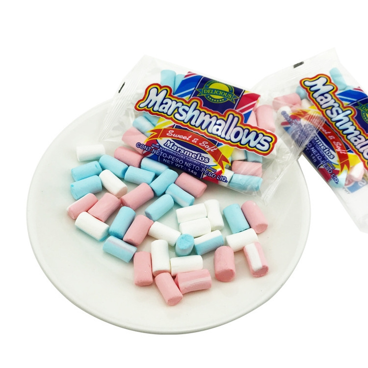 Factory Direct Fudge Mini Chalk Head marshmallow simulation chalk colorful cute creative Halal candy for children