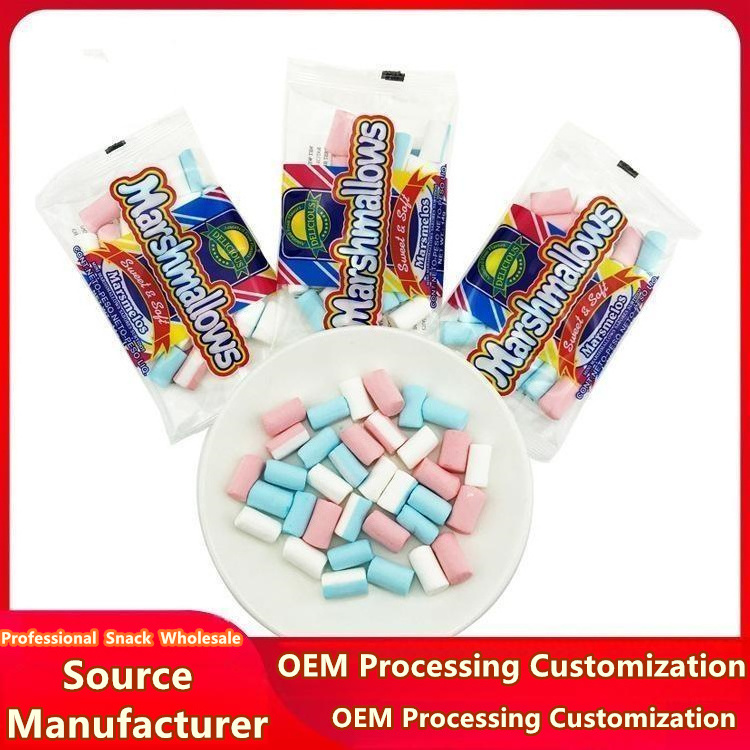 Factory Direct Fudge Mini Chalk Head marshmallow simulation chalk colorful cute creative Halal candy for children