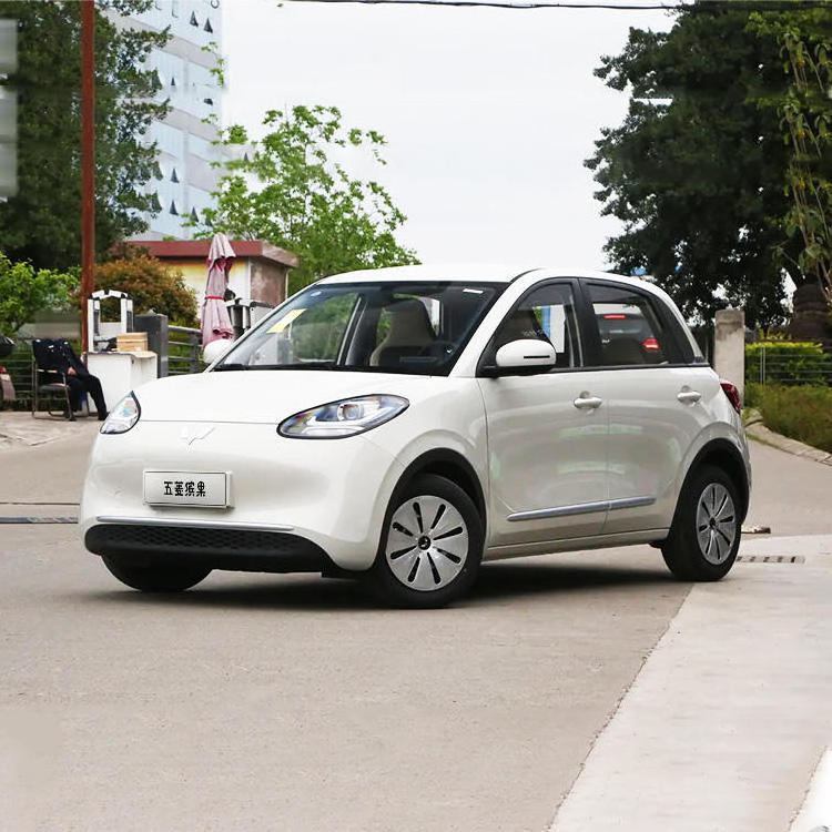 Wuling Binguo 2023 New Wuling Bingo 203km 303km Small New Energy Vehicles Pure Electric Cars Mini EV Car