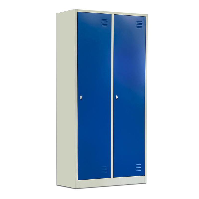 Low Price KD Steel Material Lockable Metal Individual Wardrobe Two Door Locker