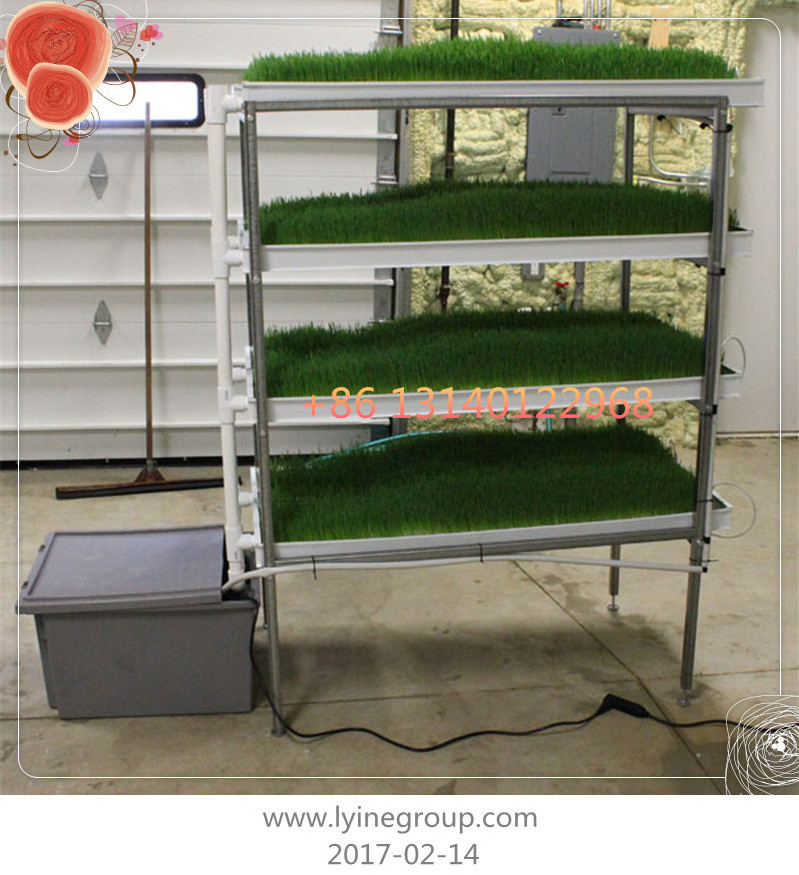 Hydroponic Plastic Gardening Nursery Trays WITH drain holes/ Plant Seed Growing Trays for Seedling Microgreens